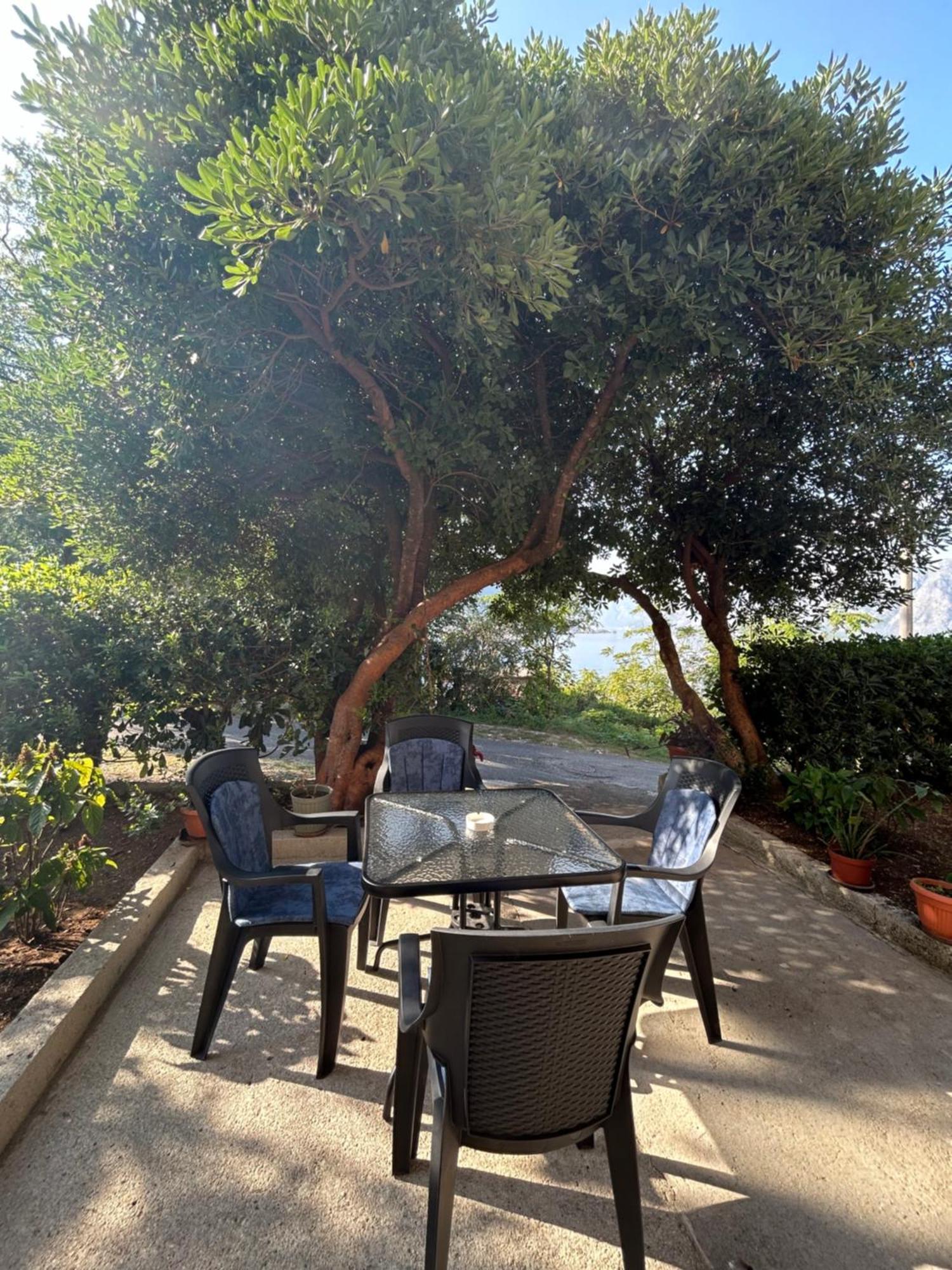 Blue Shell Apartments Kotor Zewnętrze zdjęcie