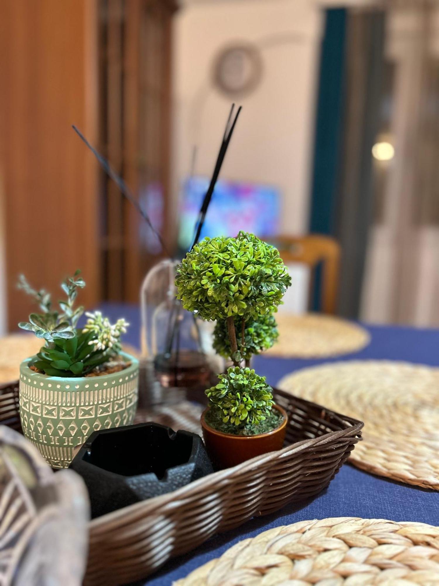 Blue Shell Apartments Kotor Zewnętrze zdjęcie